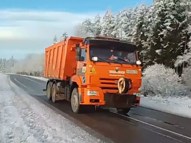 Дороги в Ленобласти начали обрабатывать реагентами и чистой солью