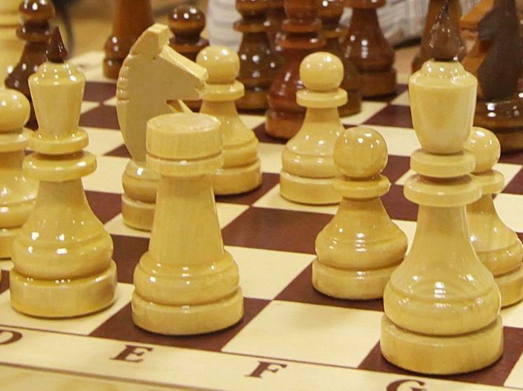 Юный житель Дмитрова победил на Международном шахматном Фестивале