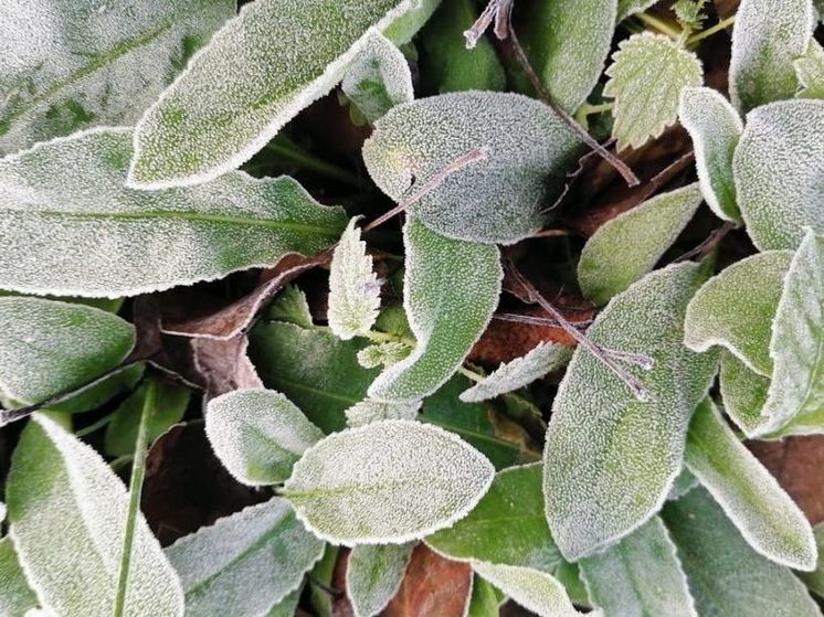 На 4 ноября Гидрометцентр объявил «желтый» уровень погодной опасности