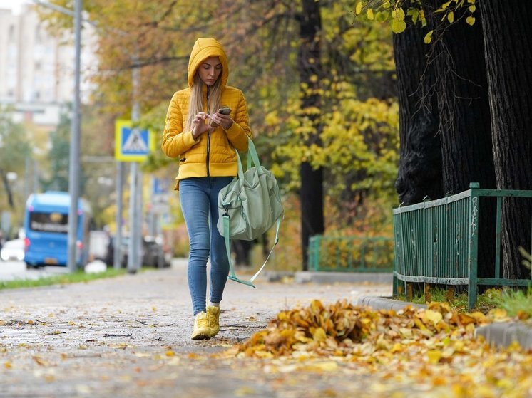 «Отслужившие» листья важны для поддержания плодородия почвы