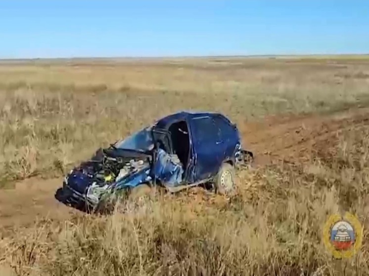 Ночью в ДТП на трассе Волгоградской области погиб водитель ВАЗа