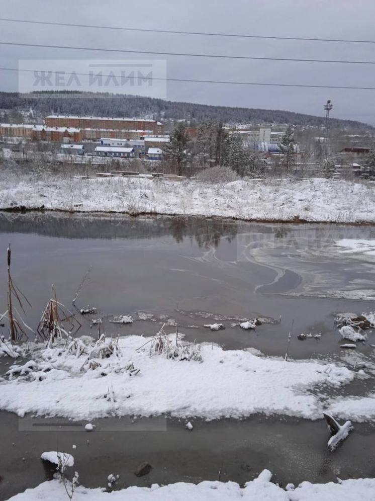 В Железногорске-Илимском вода с маслянистой пленкой течет с ТЭЦ-16 в дамбу Рассохи