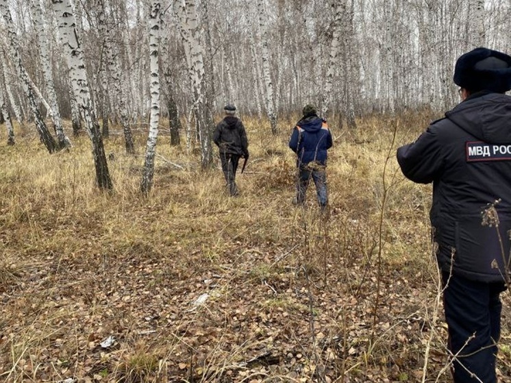 Жителя Целинного округа обвиняют в незаконной рубке берез