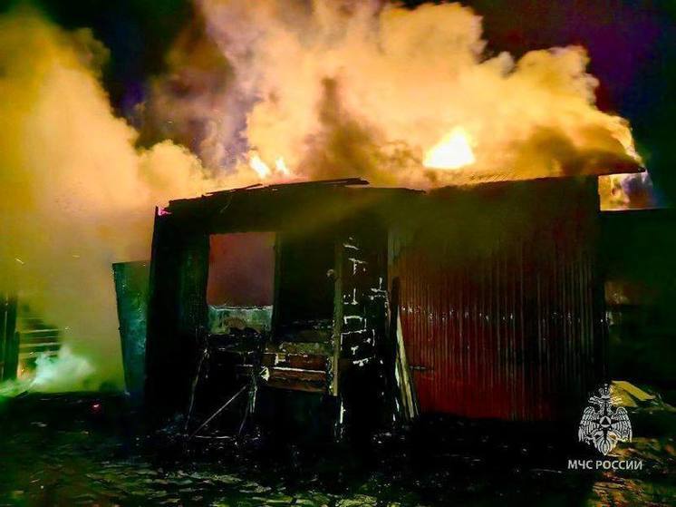 МЧС: во время пожара в частном доме в ХМАО погибли дети и взрослые