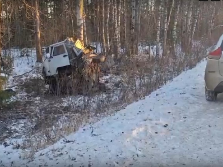 Женщина погибла в ДТП на трассе в Нижегородской области