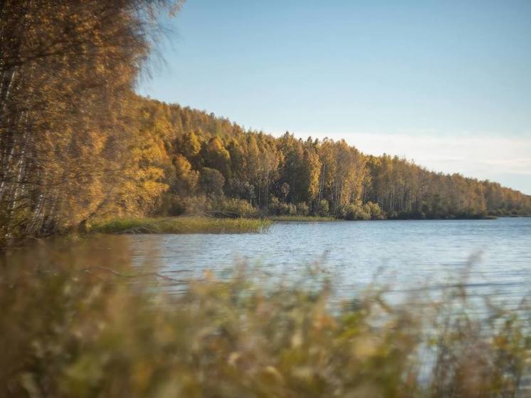 Потепление до +6 градусов прогнозируется в Нижнем Новгороде