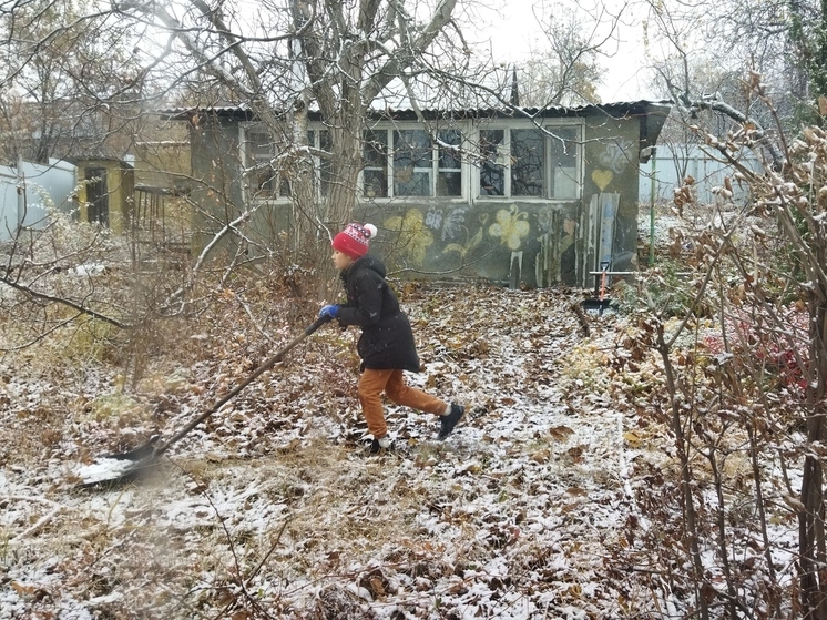  В Саратове 4 ноября будет снежно