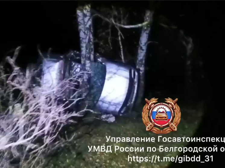 В Волоконовском районе две девушки погибли при наезде иномарки на дерево