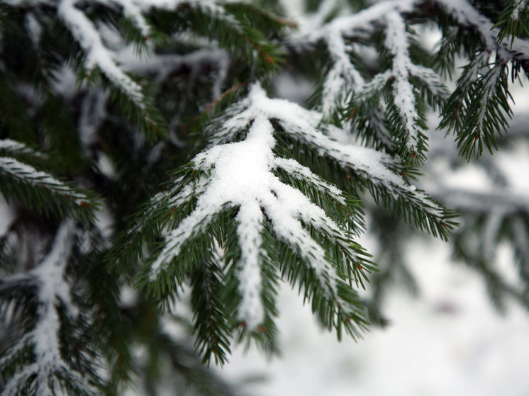 Наро-Фоминск стал самым заснеженным округом Подмосковья
