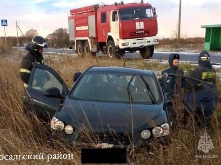 Калужское МЧС подвело итоги дня жестянщика