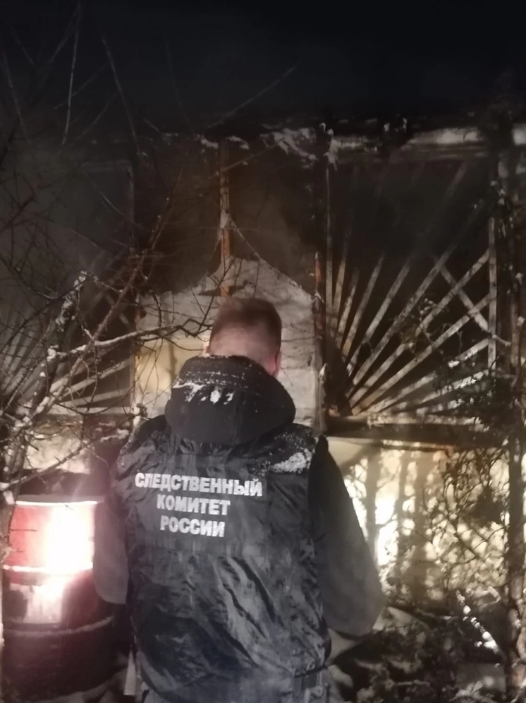 Владимирский Следком возбудил дело после смерти ребенка на пожаре