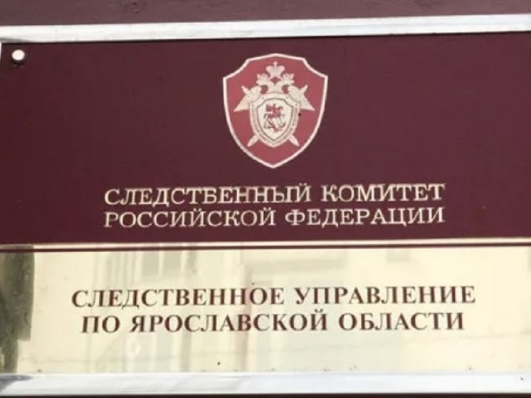 Александр Бастрыкин проверит скандал с ярославским дрег-квин шоу