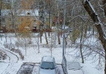 Вчера, 4 ноября, в Москве был зафиксирован первый с начала сезона день с отрицательной среднесуточной температурой, сообщил ведущий специалист Центра погоды ФОБОС Михаил Леус