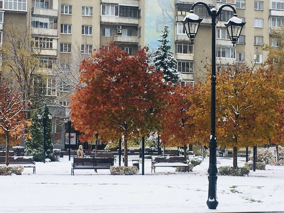 Воронежцы поделились фотографиями первого снега в городе