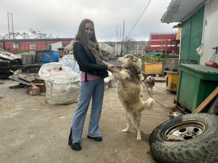  Сотрудники сахалинского СИЗО передали в приют для собак 300 кг каши