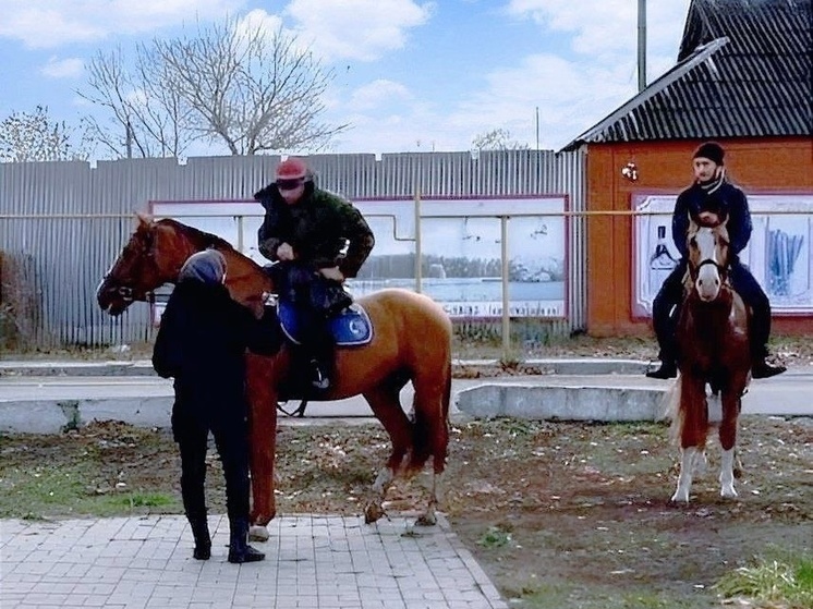 Всадники и кинологи продолжают поиски без вести пропавшего юноши под Воронежем