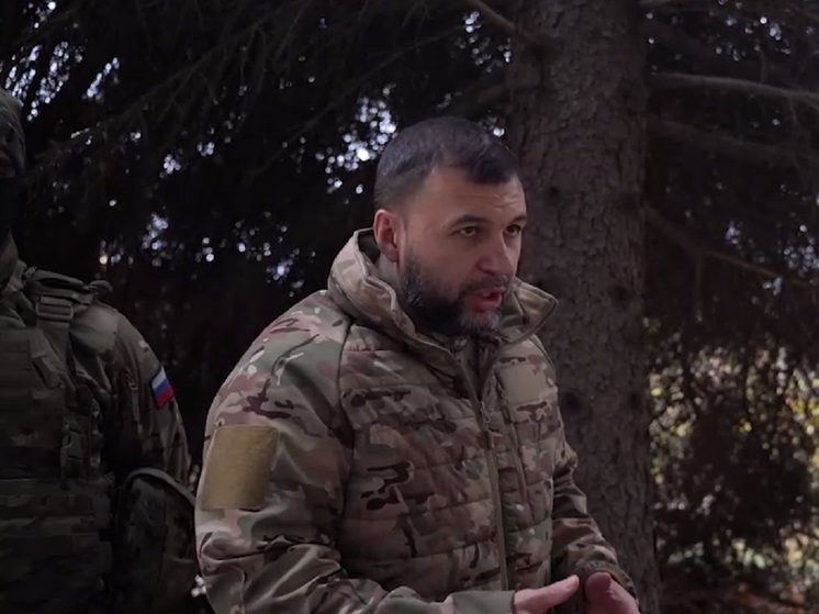 Глава ДНР рассказал о ситуации в Горняке