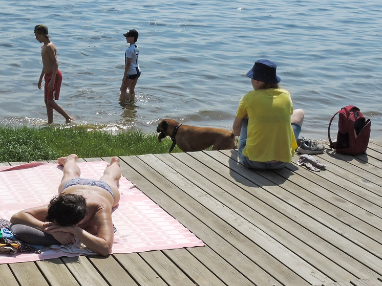На рынке глэмпингов в стране Московская область стала лидером