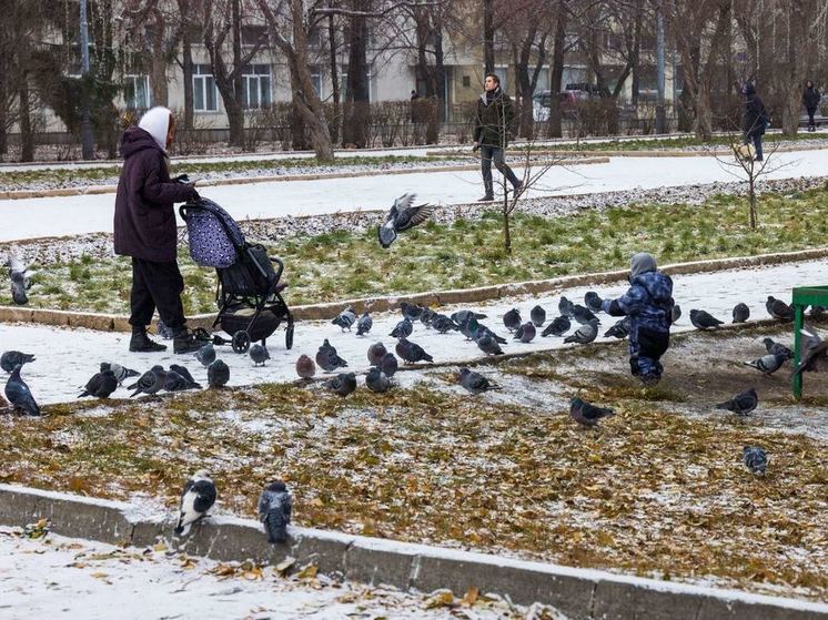 Сильный снег и метели будут в среду на Южном Урале