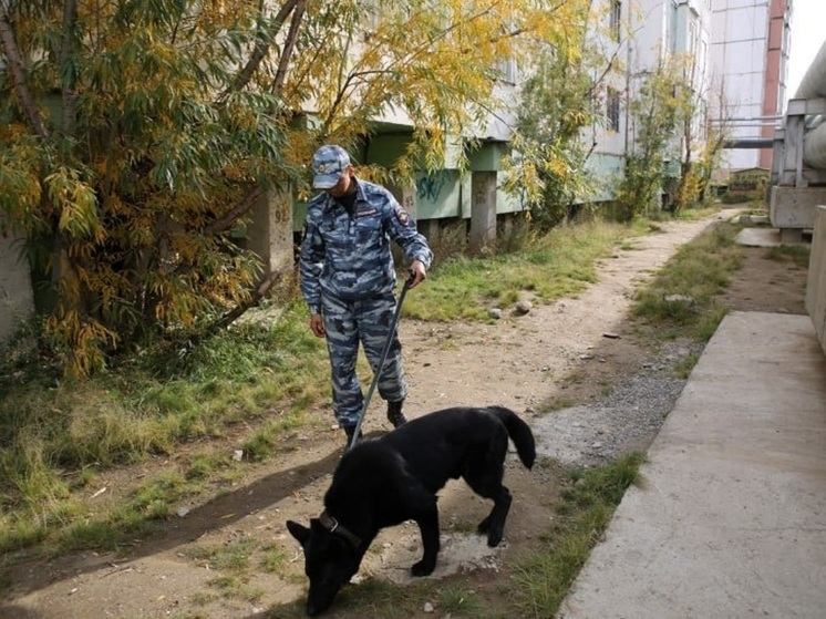 В Элисте задержали вора-рецидивиста