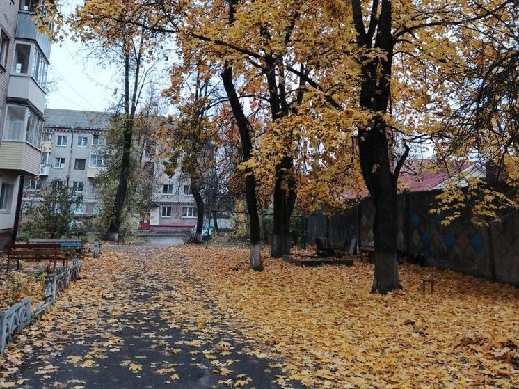  Управляющие компании в Брянске наказали за опавшие листья