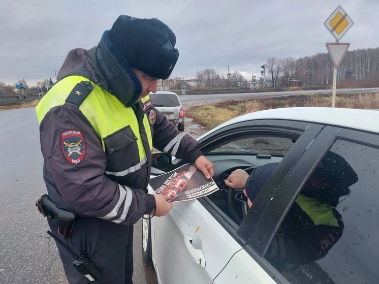 С 1 по 4 ноября в Самарской области полицейские выявили 1400 нарушений ПДД