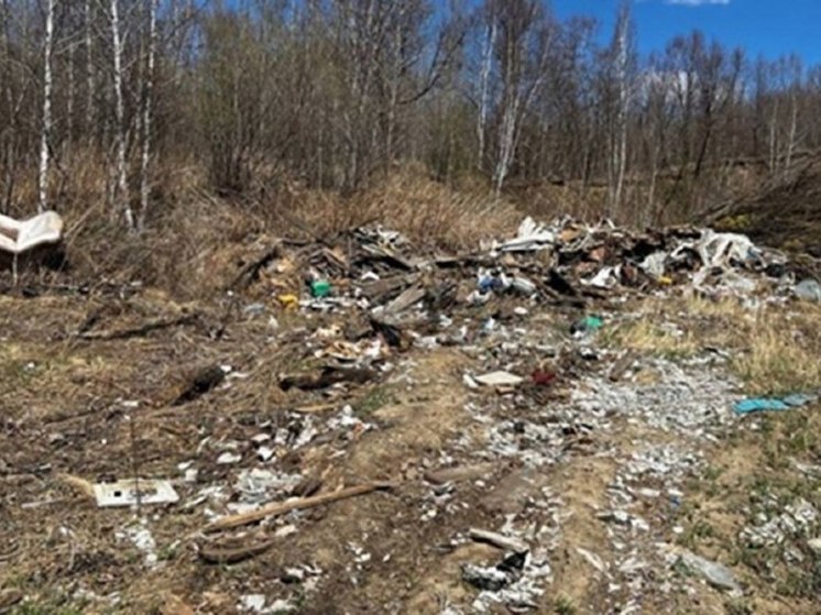  В Кстове была обнаружена нелегальная свалка площадью около 4 гк