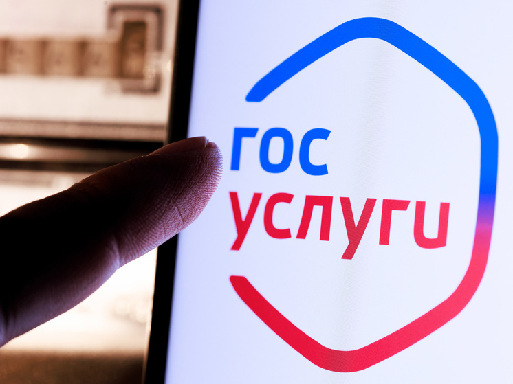 Россиянам захотели разрешить оформлять налоговый вычет через "Госуслуги"
