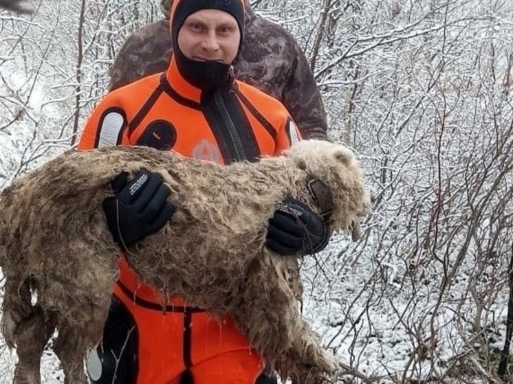 Специалисты МЧС в НАО спасли из водной пучины мокрого пёселя