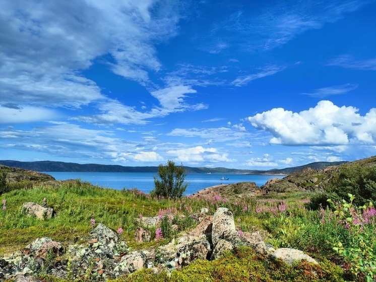 Закон о туристской деятельности примут в ДНР