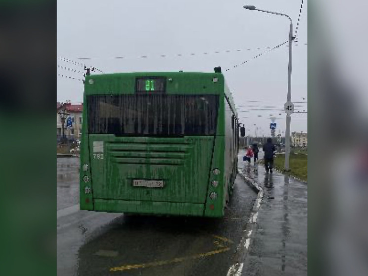 Водитель зеленого автобуса окатил грязью сахалинку с ребенком-инвалидом