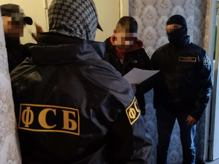 По материалам УФСБ России по Смоленской области за диверсию мужчину приговорили к 12 годам лишения свободы