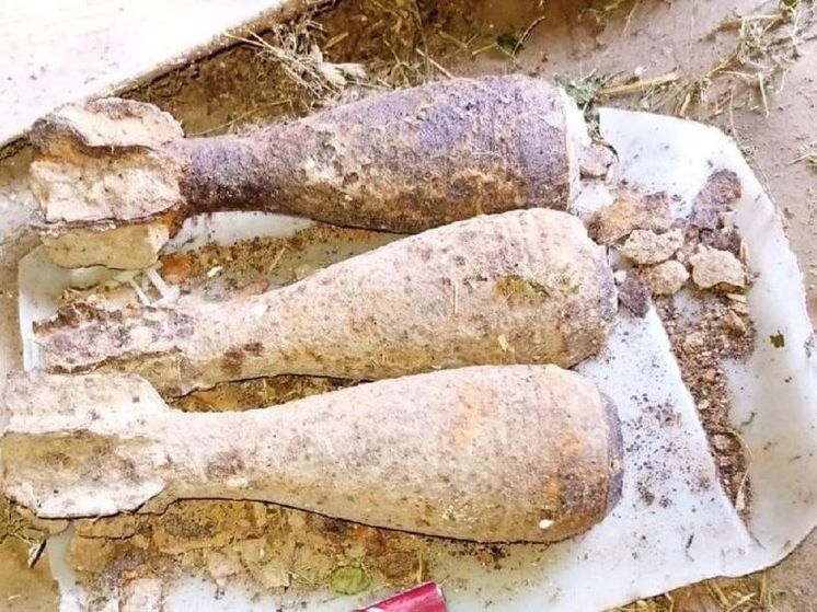 Три мины времен ВОВ нашла в огороде жительница Рузы