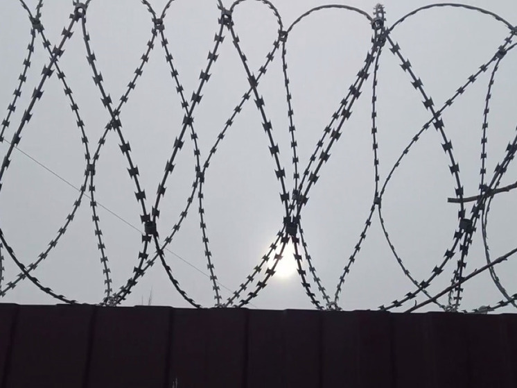 До 15 лет тюрьмы светит педофилу за изнасилование девочки в Раменском