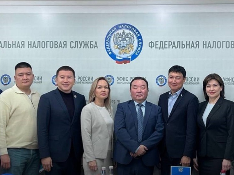 Налоговики Калмыкии отчитались, что обеспечили доходами все уровни бюджета