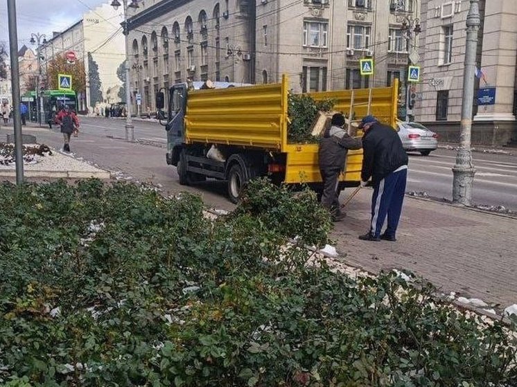 В Курске клумбы начали готовить к зиме