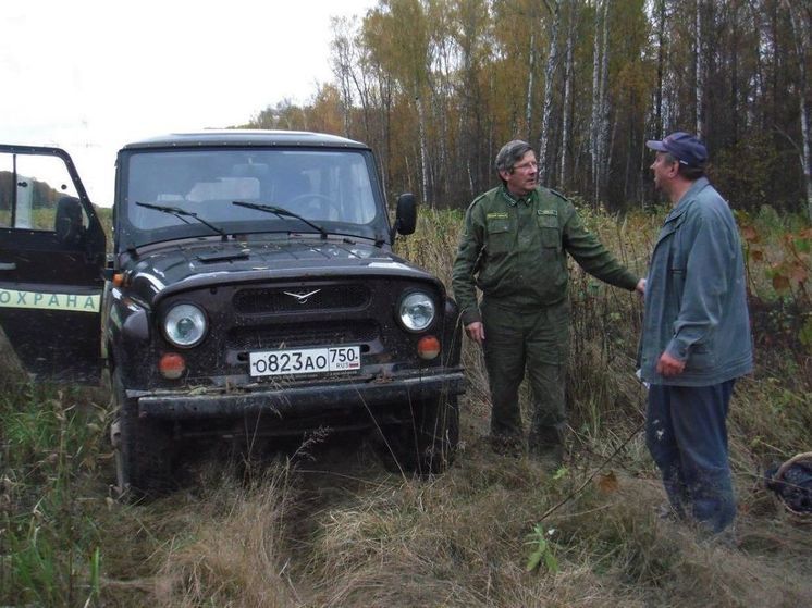 Свыше 600 человек потерялись в подмосковных лесах с начала года