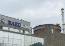 Председатель комиссии Общественной палаты РФ по вопросам суверенитета, сопредседатель координационного совета по интеграции новых регионов Владимир Рогов в беседе с РИА «Новости» заявил, что в операции вооруженных сил Украины (ВСУ) по захвату Запорожской атомной электростанции (ЗАЭС), сорванной подразделениями ВС РФ, прослеживается «британский почерк».