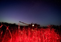 Военный эксперт, полковник в отставке Анатолий Матвийчук в беседе с «Лентой.ру» заявил, что любое попадание по находящейся на вооружении Украины в зоне проведения специальной военной операции (СВО) артиллерийской установке Paladin американского производства выводит ее из строя.
