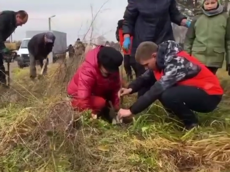 В томском селе Дзержинское появилась новая аллея