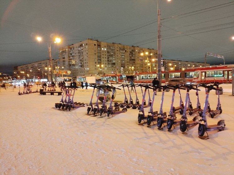 В Госдуме считают, что езда на самокатах в гололед неуместна