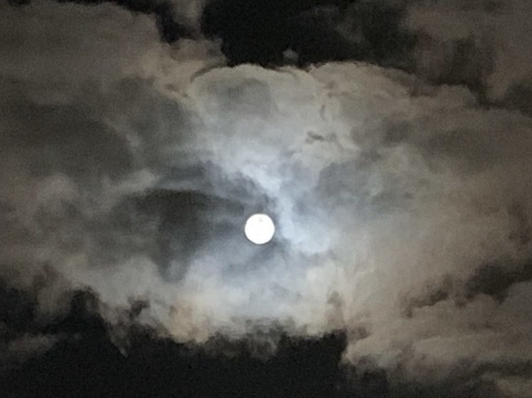 Метеорный поток Леониды прольется на Землю с 6 по 30 ноября