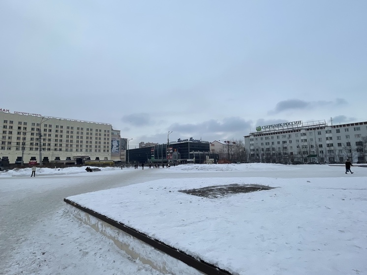 Стало известно, где в Мурманске поставят новогоднюю елку