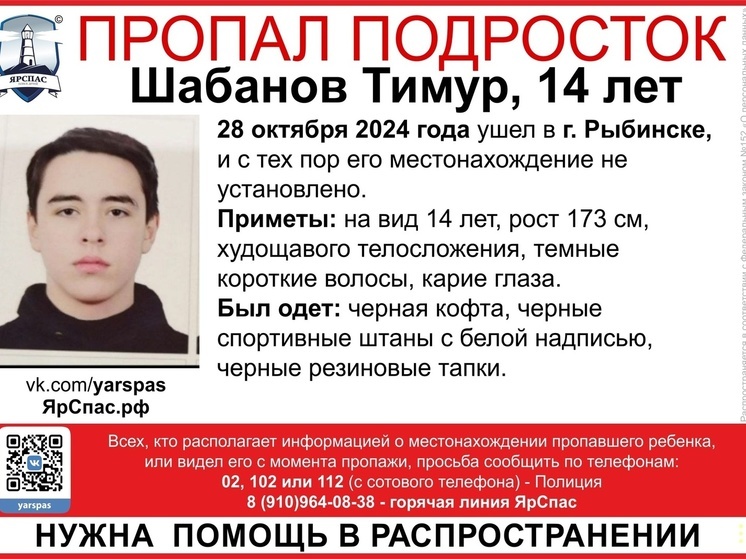 В Ярославской области 10 дней не могут найти 14-летнего подростка