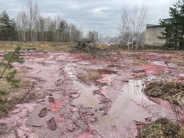 В Петушках возбуждено дело о загрязнении почвы