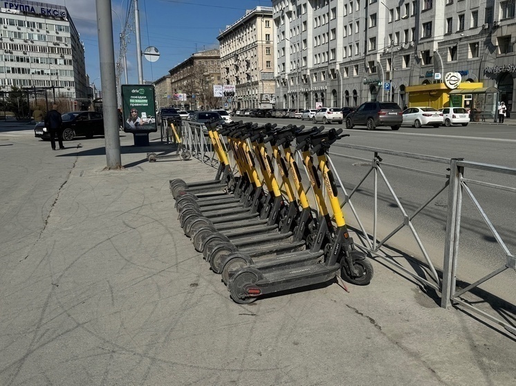 Новосибирцам предлагают выразить мнение об электросамокатах