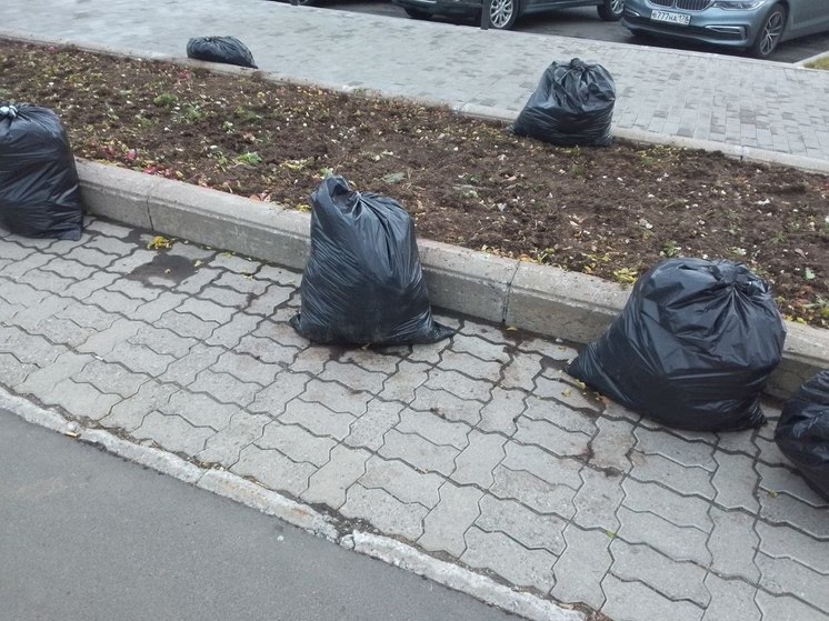 В новгородской мэрии представили карту уборки города на 2024-2026 годы