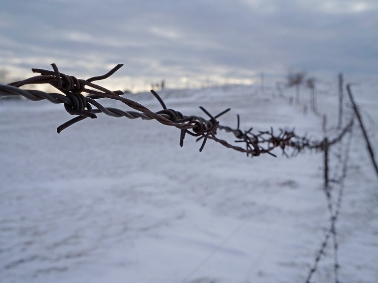 Глава Минобороны Латвии поддержал обязательный призыв женщин в армию