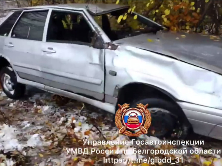 В Белгородской области пьяная автоледи попала в ДТП