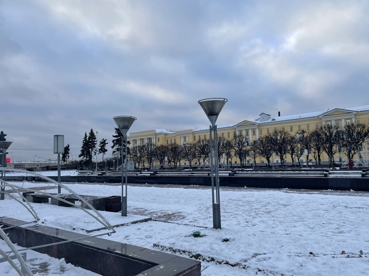 В Петербурге запустили систему, которая будет контролировать уборку дорог зимой